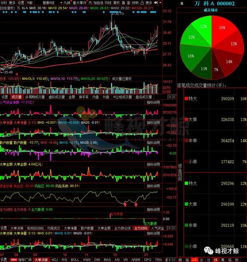 1月18日A股物業管理板塊資金凈流入排行榜TOP10